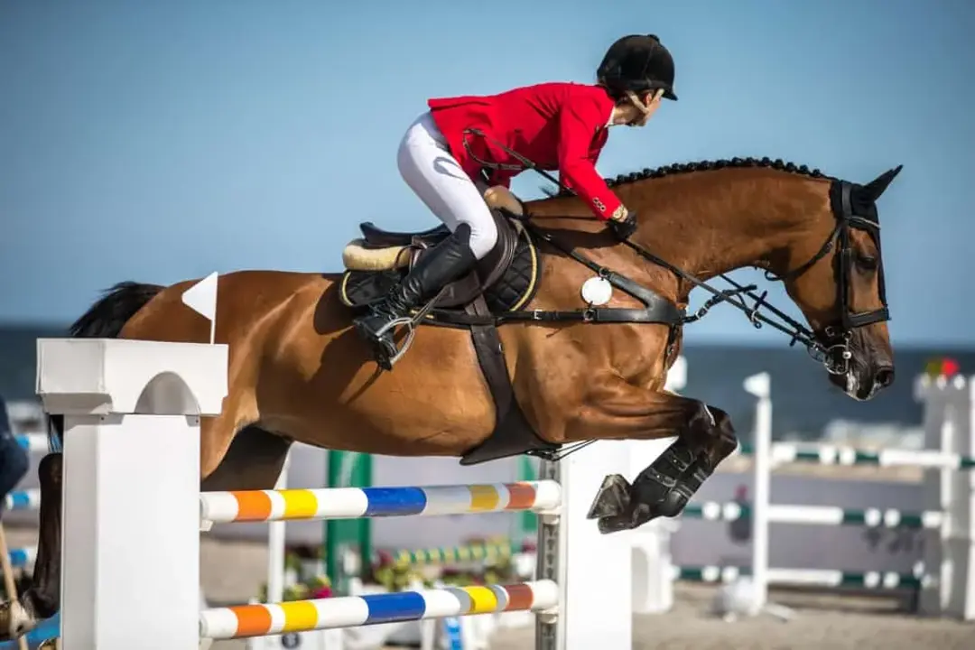 29-Horse-Jumping-Obstacles-00 (1)