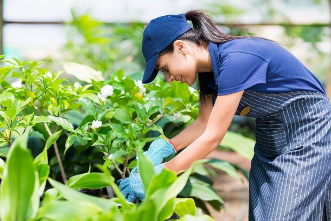 gardener (1)